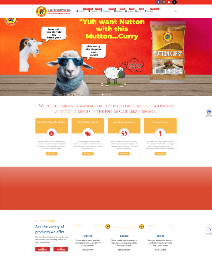 Magento Developement